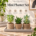 Japandi Mini Planters – Set