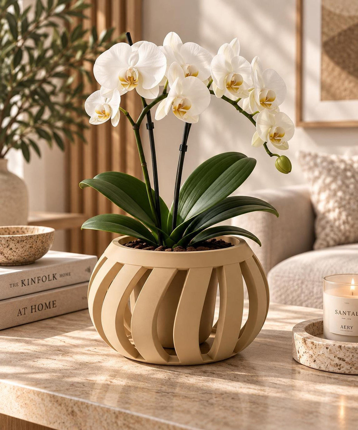 ORYX Orchid Planter